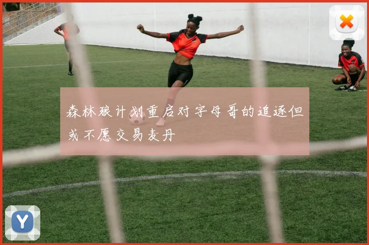森林狼计划重启对字母哥的追逐但或不愿交易麦丹